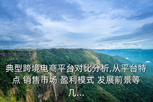 典型跨境电商平台对比分析,从平台特点 销售市场 盈利模式 发展前景等几...