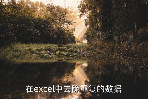 在excel中去除重复的数据