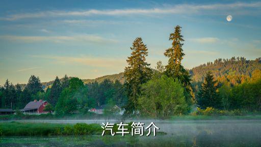 太空车机器人,中国太空机器人