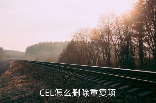 cel怎么删除重复项