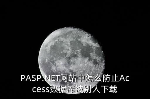 pasp.net网站中怎么防止access数据库被别人下载