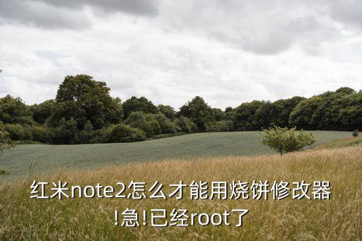 红米note2怎么才能用烧饼修改器!急!已经root了