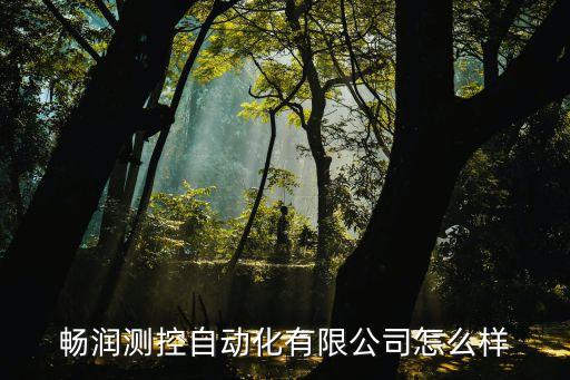 畅润测控自动化有限公司怎么样