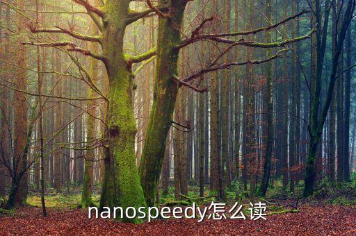 nanospeedy怎么读