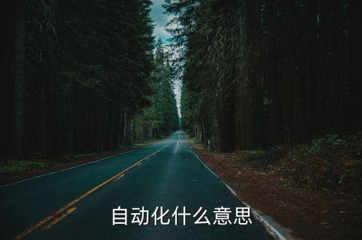 自动化什么意思