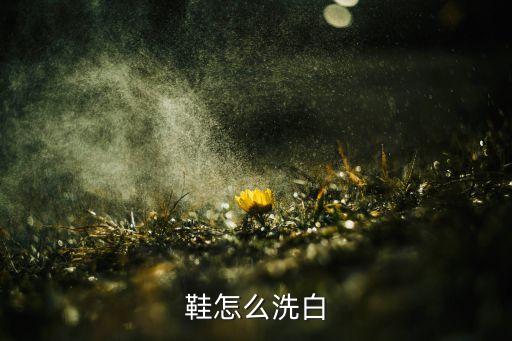 鞋怎么洗白