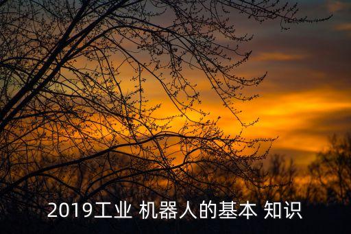 2019工业 机器人的基本 知识