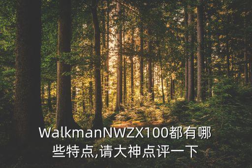 walkmannwzx100都有哪些特点,请大神点评一下