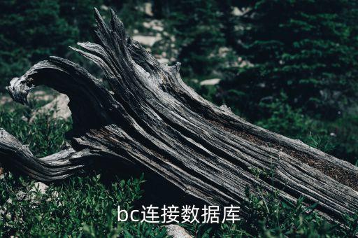 bc连接数据库