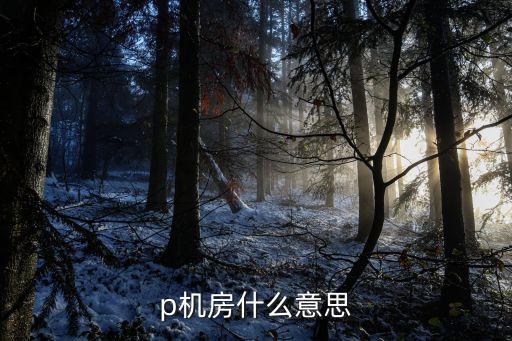 p机房什么意思