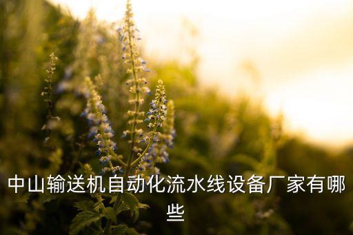 自动化滚筒输送机供货公司,输送机电动滚筒