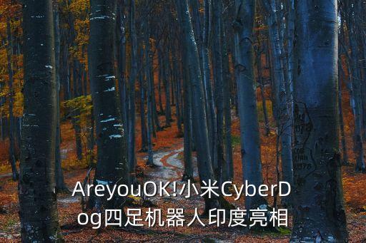 areyouok!小米cyberdog四足机器人印度亮相