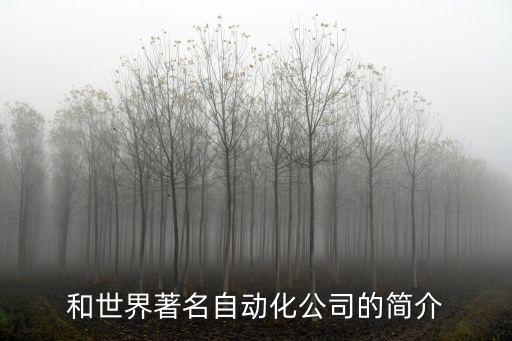 武汉工业自动化公司有哪些,工业自动化公司有哪些?