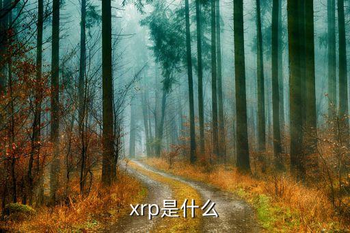 xrp是什么