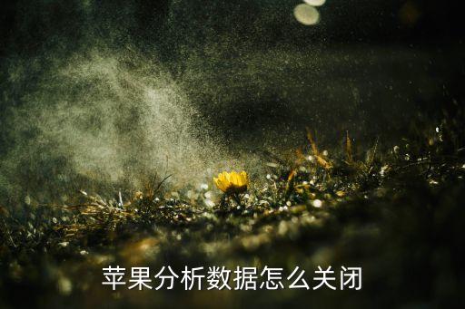 苹果分析数据怎么关闭