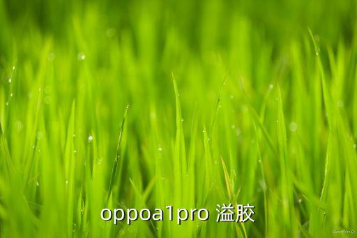 oppoa1pro 溢胶