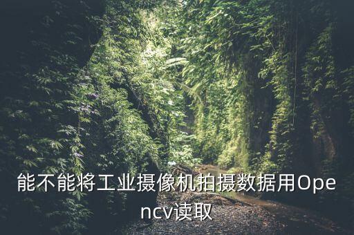 能不能将工业摄像机拍摄数据用opencv读取