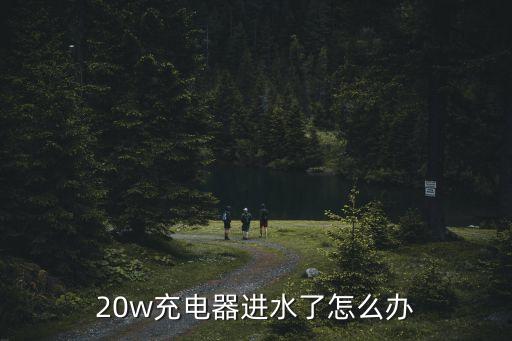 20w充电器进水了怎么办