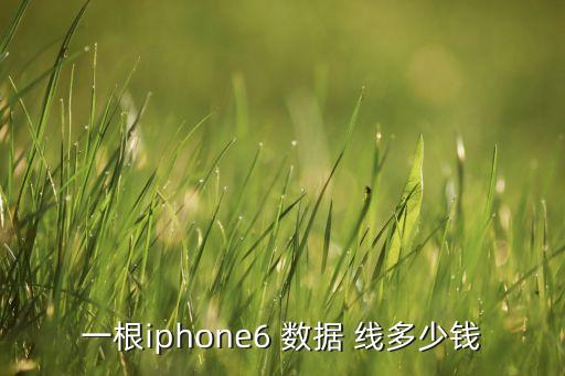 一根iphone6 数据 线多少钱