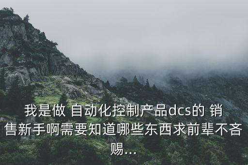 我是做 自动化控制产品dcs的 销售新手啊需要知道哪些东西求前辈不吝赐...