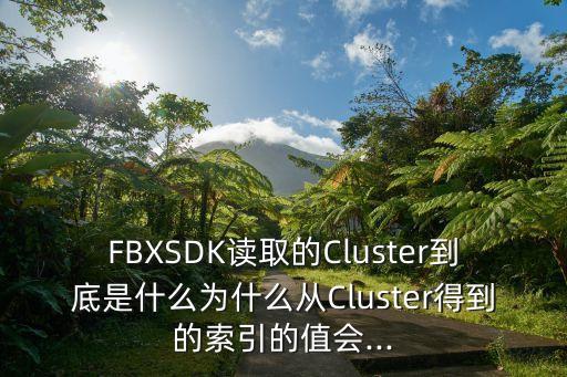 fbxsdk读取的cluster到底是什么为什么从cluster得到的索引的值会...