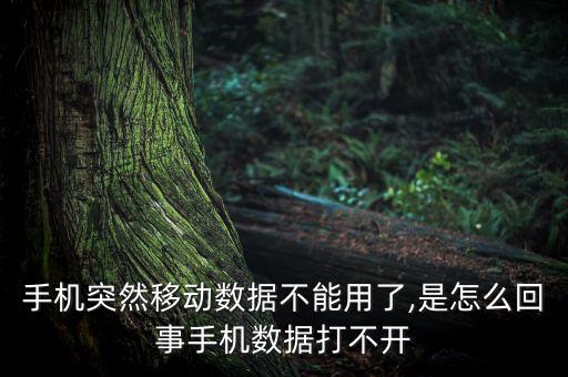 移动数据无法开启,手机无法通过移动数据上网怎么办?