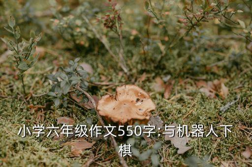 小学六年级作文550字:与机器人下棋