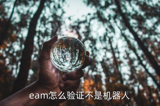 eam怎么验证不是机器人