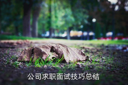 公司求职面试技巧总结