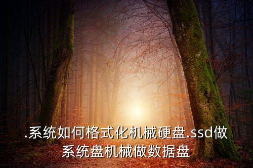 .系统如何格式化机械硬盘.ssd做系统盘机械做数据盘