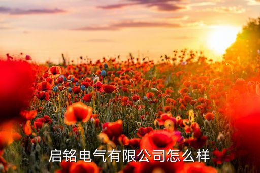 启铭电气有限公司怎么样