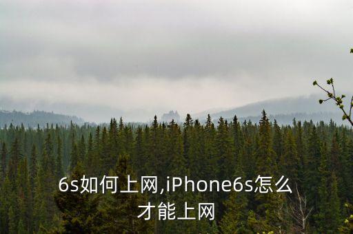 6s如何上网,iphone6s怎么才能上网