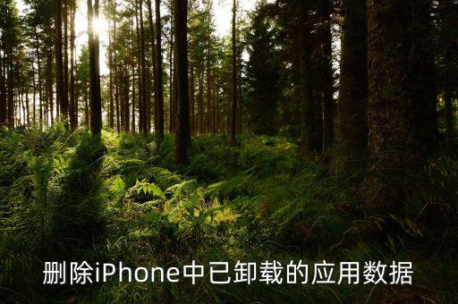 iphone怎么删除应用数据,苹果如何删除应用数据?