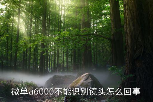 微单a6000不能识别镜头怎么回事