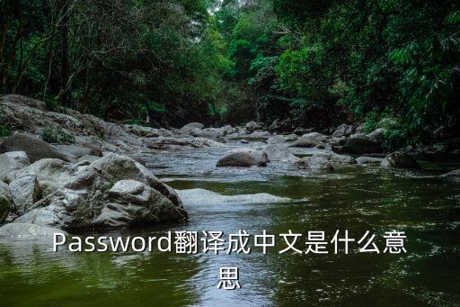 password翻译成中文是什么意思