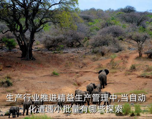 生产行业推进精益生产管理中,当自动化遭遇小批量有哪些探索