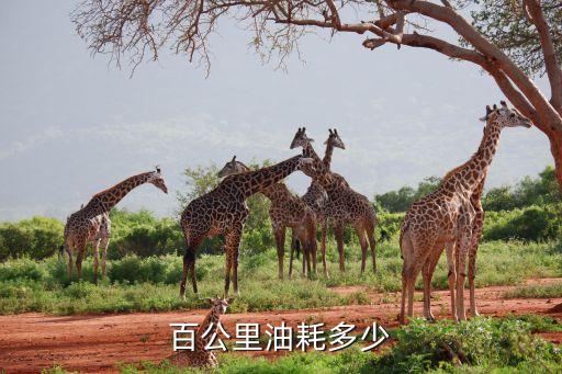 小熊油耗 数据,指挥官的真实油耗