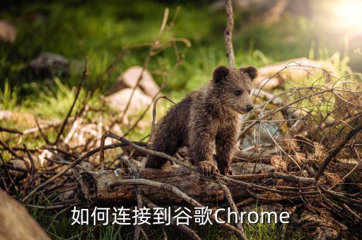 如何连接到谷歌chrome