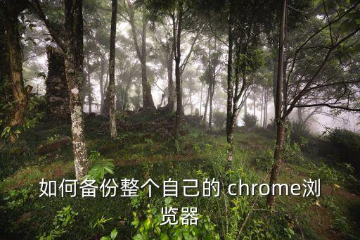 如何备份整个自己的 chrome浏览器