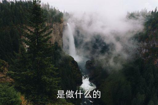 是做什么的