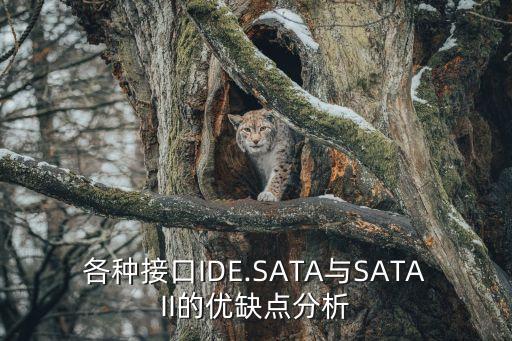 各种接口ide.sata与sataii的优缺点分析