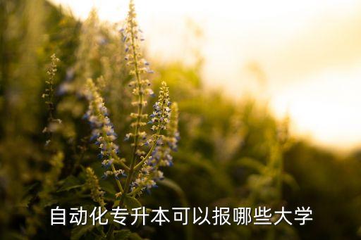 自动化专升本可以报哪些大学