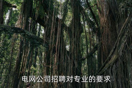 电网公司招聘对专业的要求