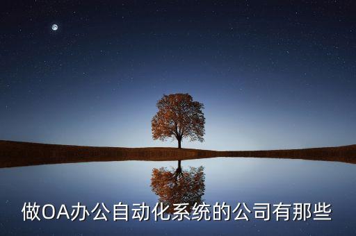 做oa办公自动化系统的公司有那些