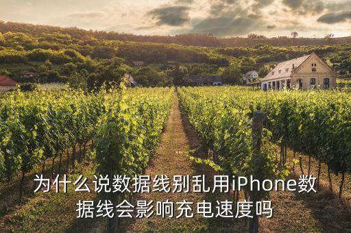 为什么说数据线别乱用iphone数据线会影响充电速度吗