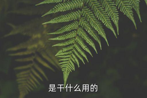 是干什么用的