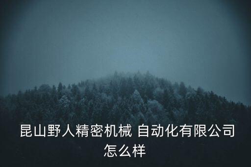  昆山野人精密机械 自动化有限公司怎么样