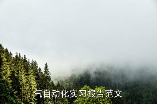 广东电气自动化专业实习,广州电气化自动化学校