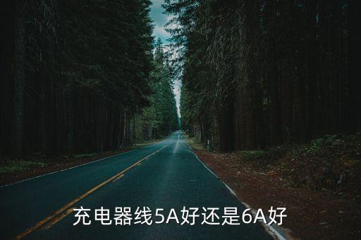 充电器线5a好还是6a好