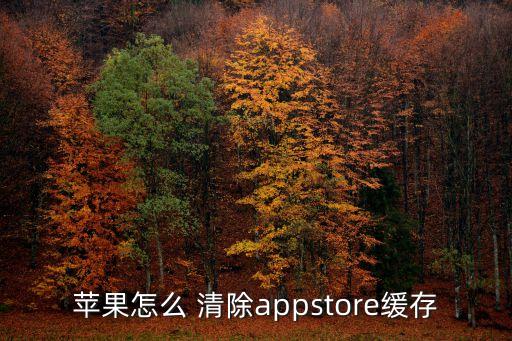 苹果怎么 清除appstore缓存